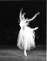 1964