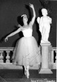 1961